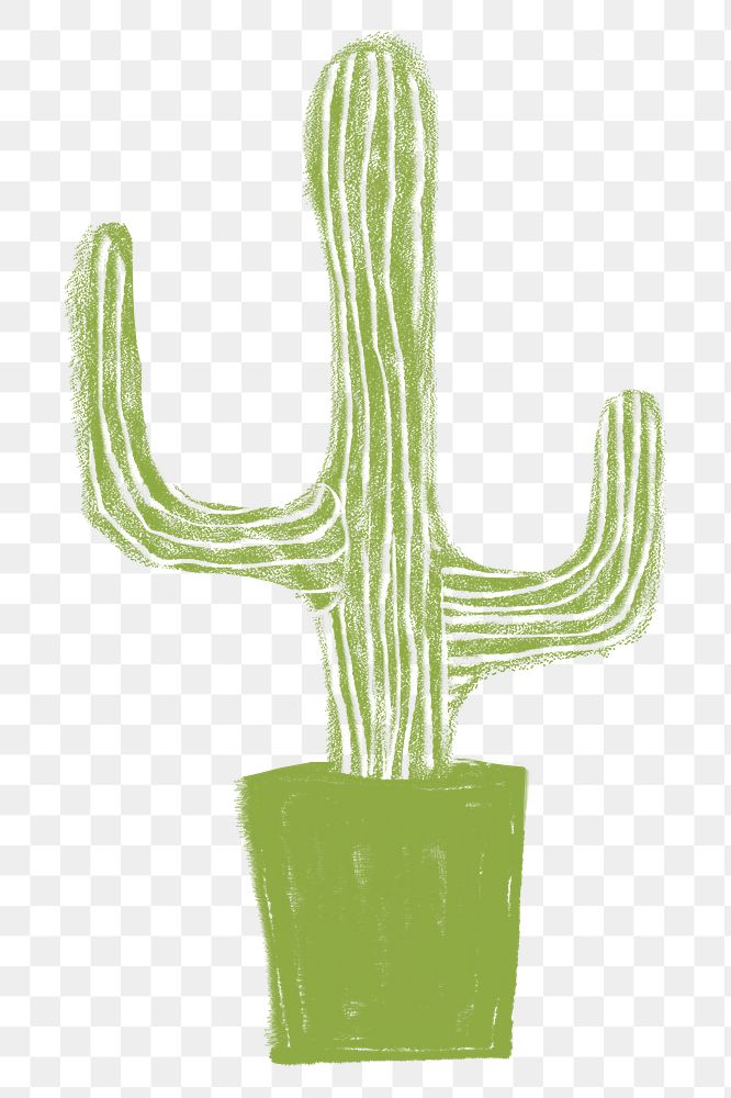 Cute cactus png sticker, desert plant doodle, transparent background