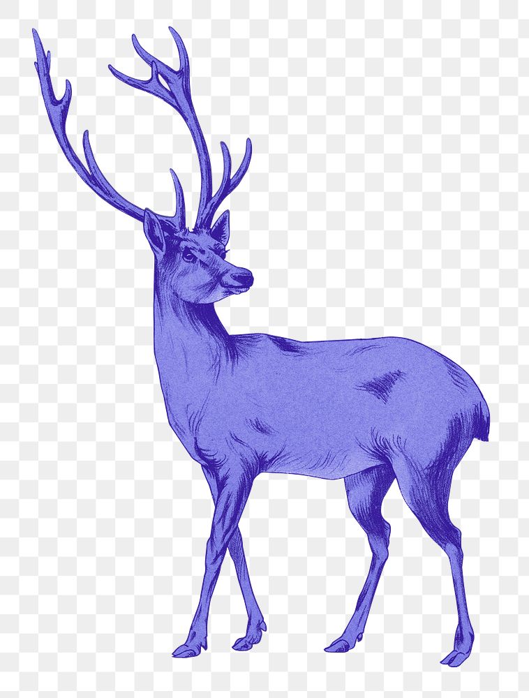 Blue deer png animal sticker, transparent background, remixed by rawpixel