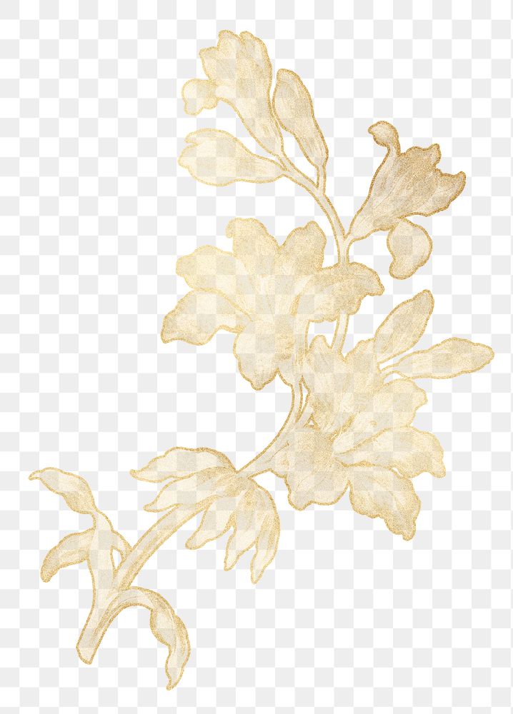 Gold flower png botanical sticker, transparent background, remixed by rawpixel