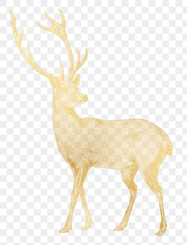 Gold stag png animal sticker, transparent background, remixed by rawpixel