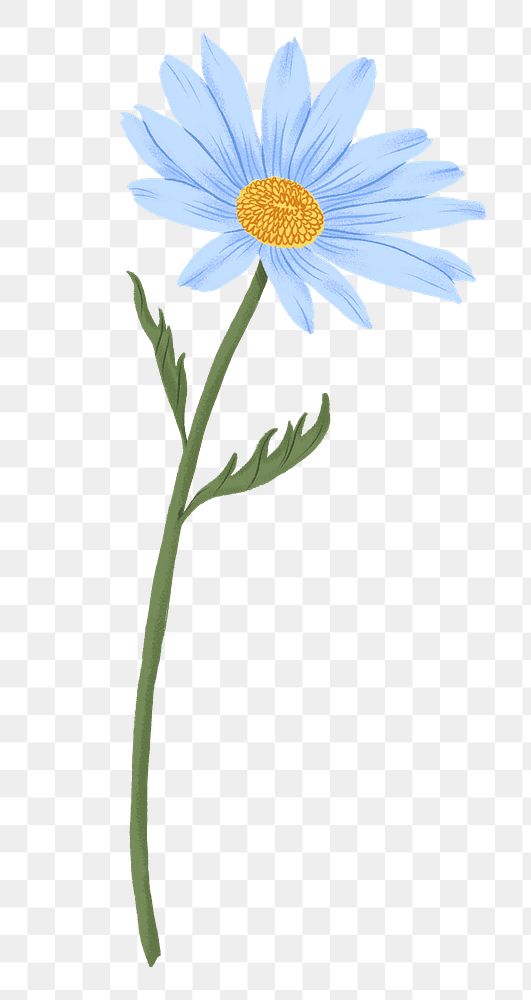 Blue daisy png flower drawing sticker, transparent background