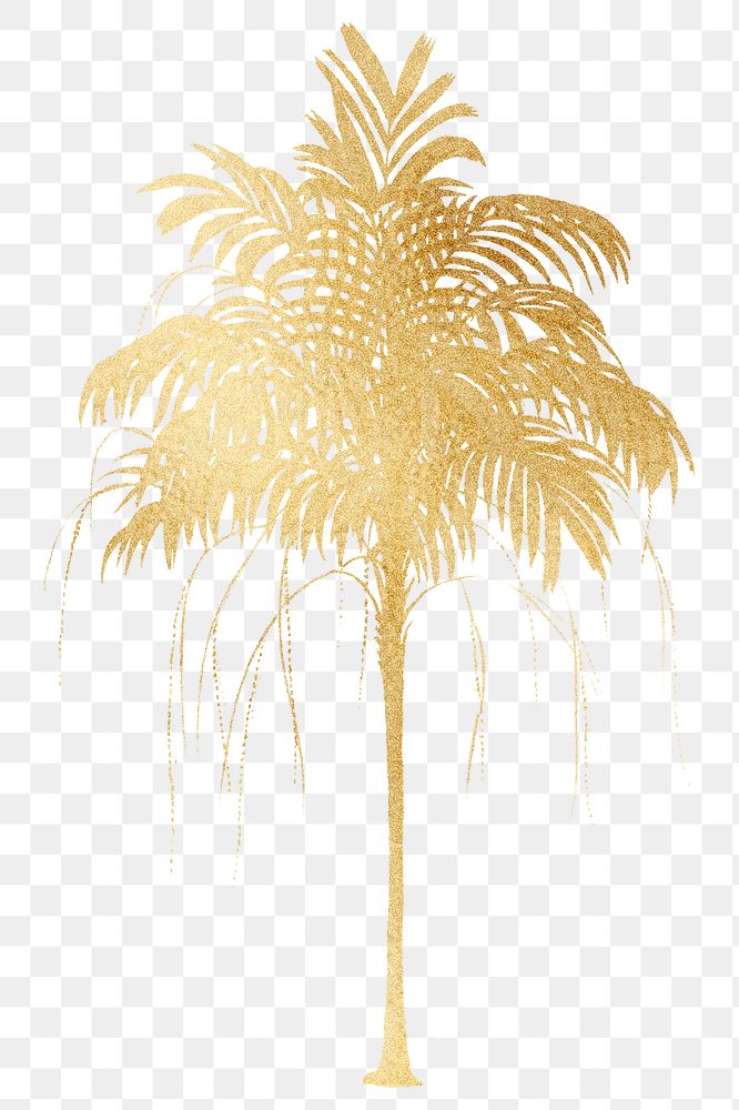 PNG aesthetic palm tree sticker, transparent background