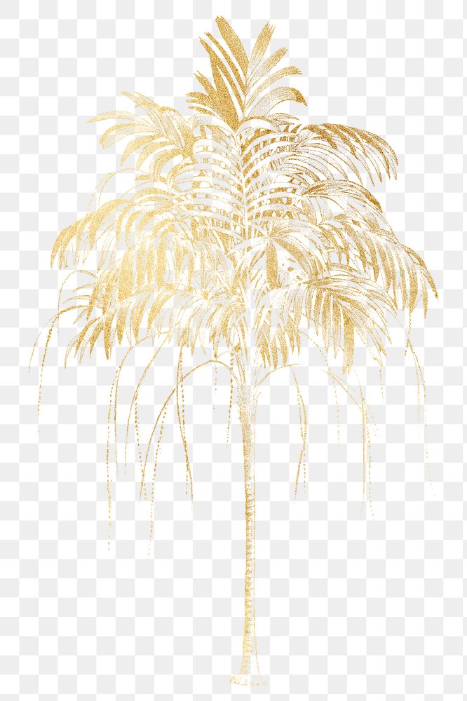 Gold palm tree png plant sticker, transparent background