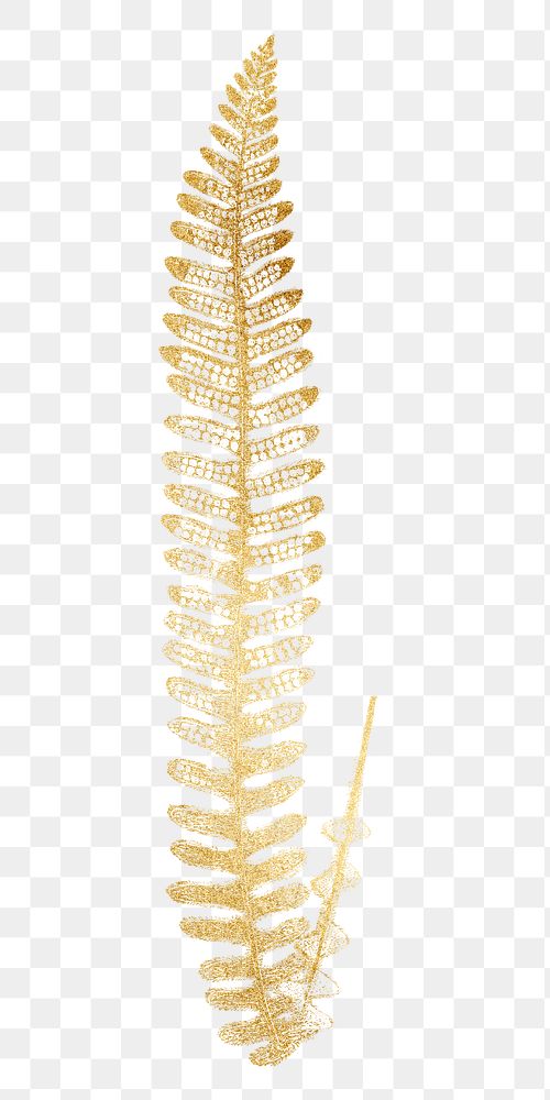 Gold fern leaf png sticker, transparent background