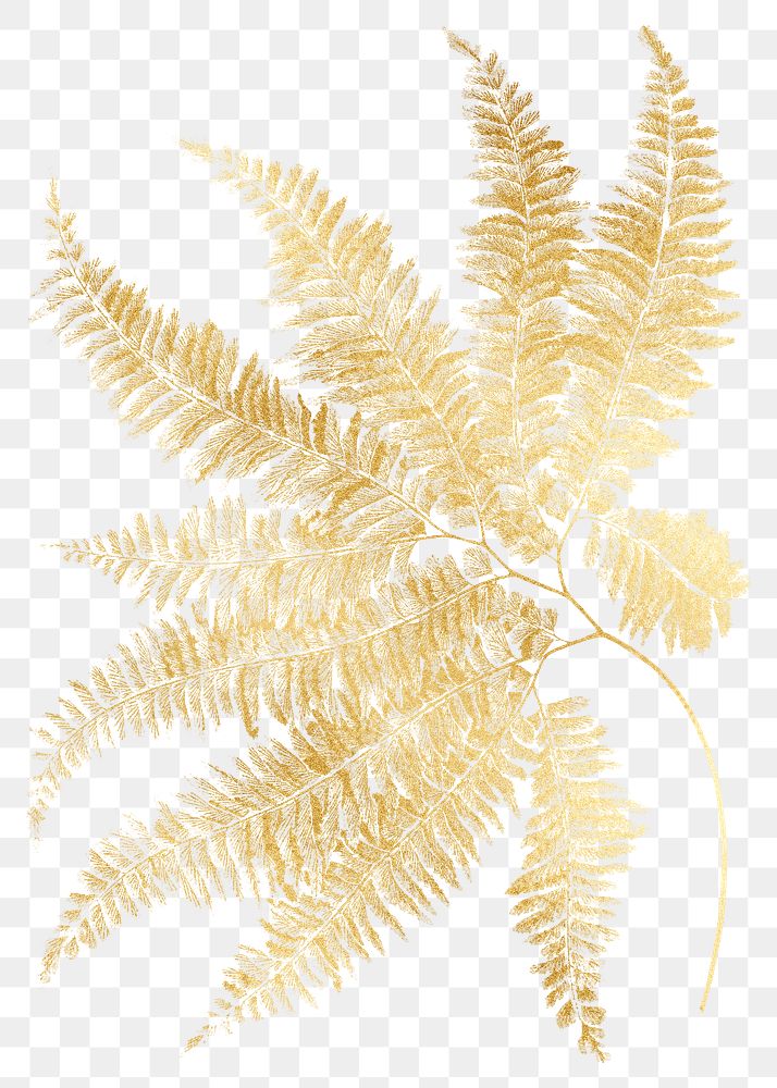 Fern leaf png gold sticker, transparent background