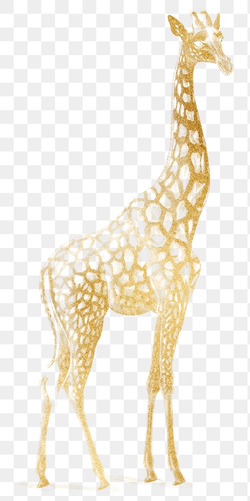 Gold giraffe png animal sticker, transparent background