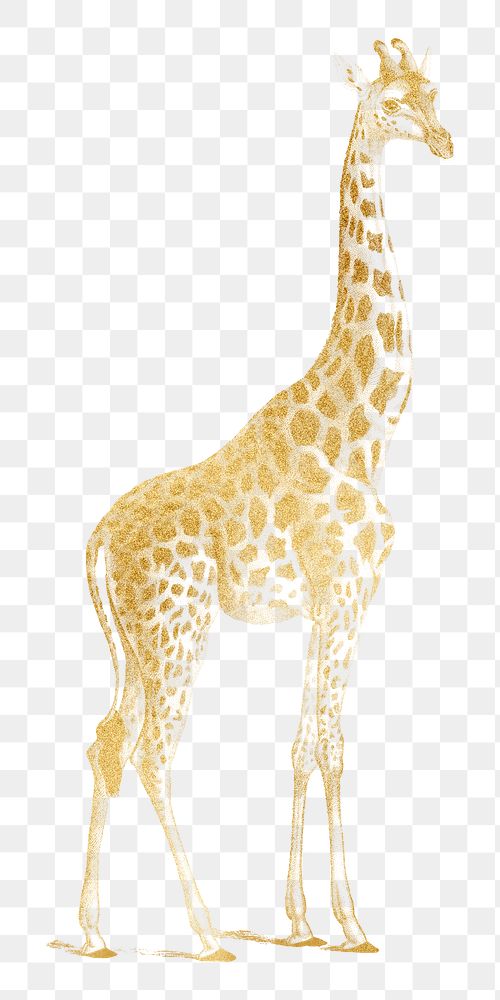 Gold giraffe png animal sticker, transparent background