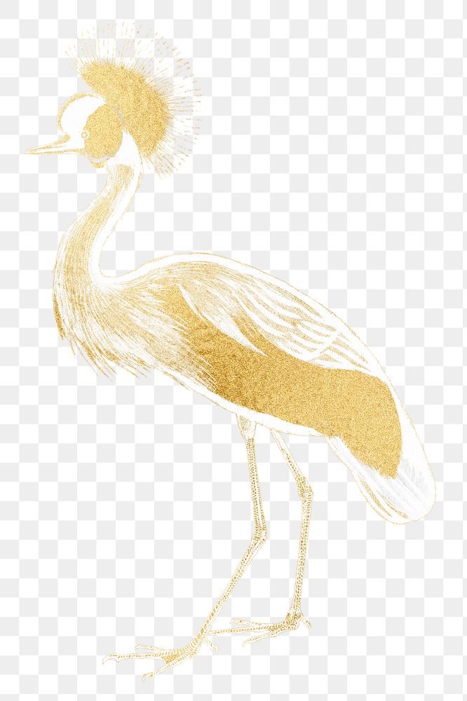 Gold crown crane png sticker, transparent background