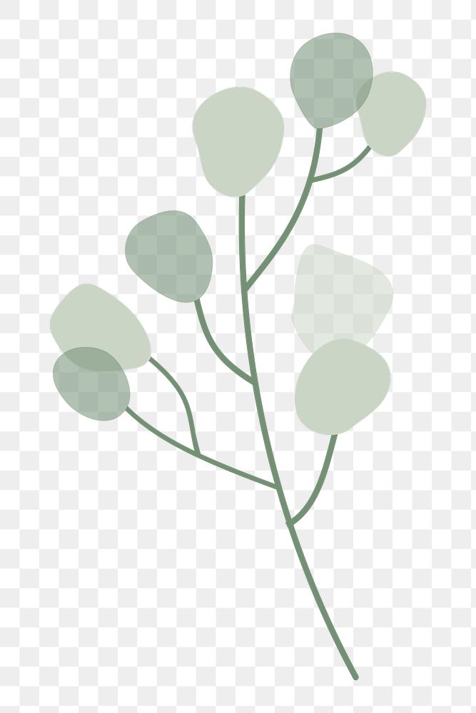 Leaf branch png sticker, transparent background