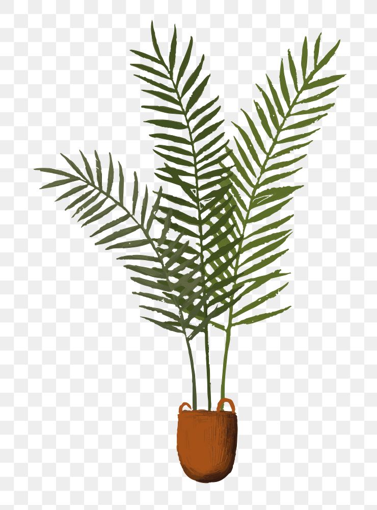 Palm tree png aesthetic houseplant sticker, transparent background