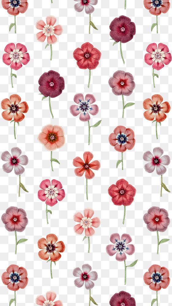 Floral pattern png vintage sticker, painting by Pierre Joseph Redouté on transparent background. Remixed by rawpixel.