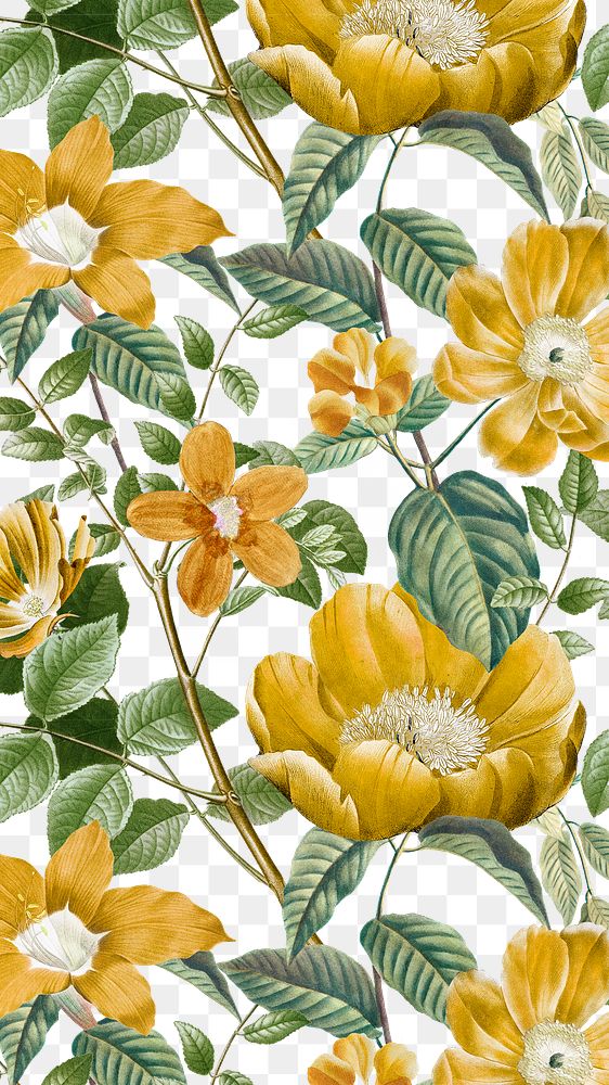 PNG vintage yellow flower pattern sticker, painting by Pierre Joseph Redouté on transparent background. Remixed by rawpixel.