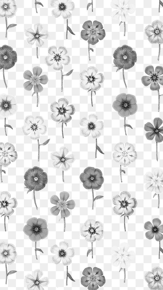 Flower pattern png monotone sticker, painting by Pierre Joseph Redouté on transparent background. Remixed by rawpixel.