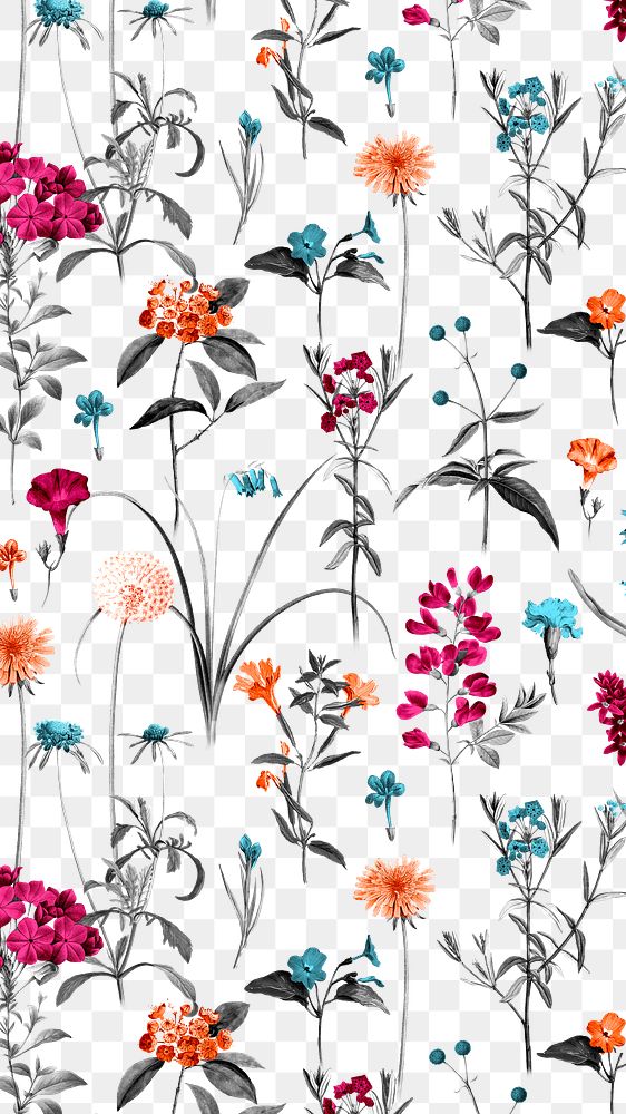 Flower pattern png vintage sticker, painting by Pierre Joseph Redouté on transparent background. Remixed by rawpixel.