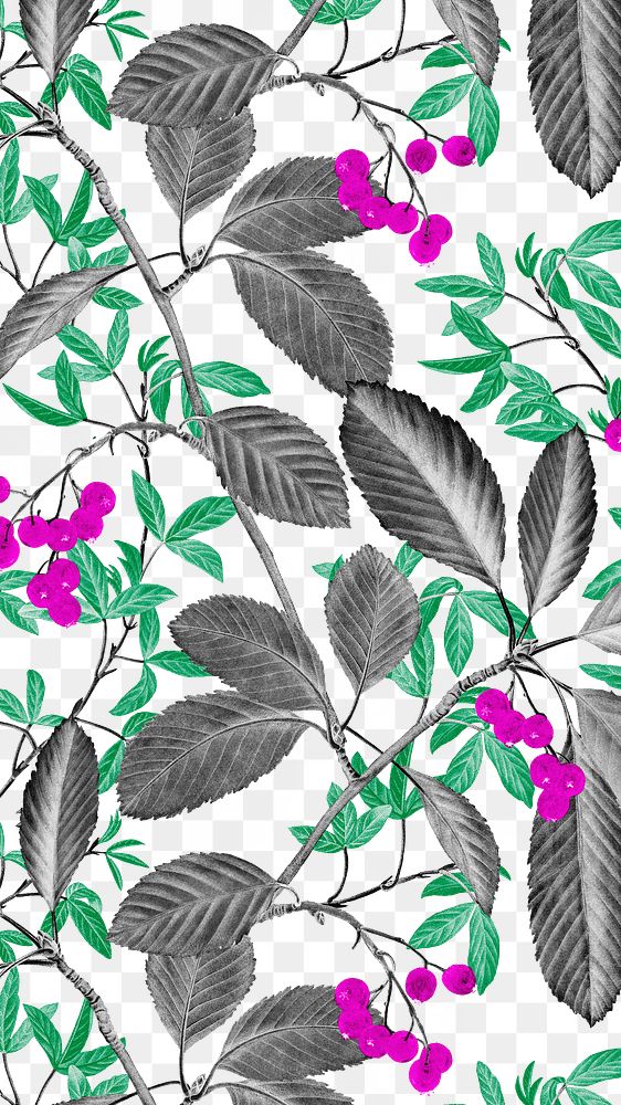 Leaf pattern png vintage sticker, painting by Pierre Joseph Redouté on transparent background. Remixed by rawpixel.
