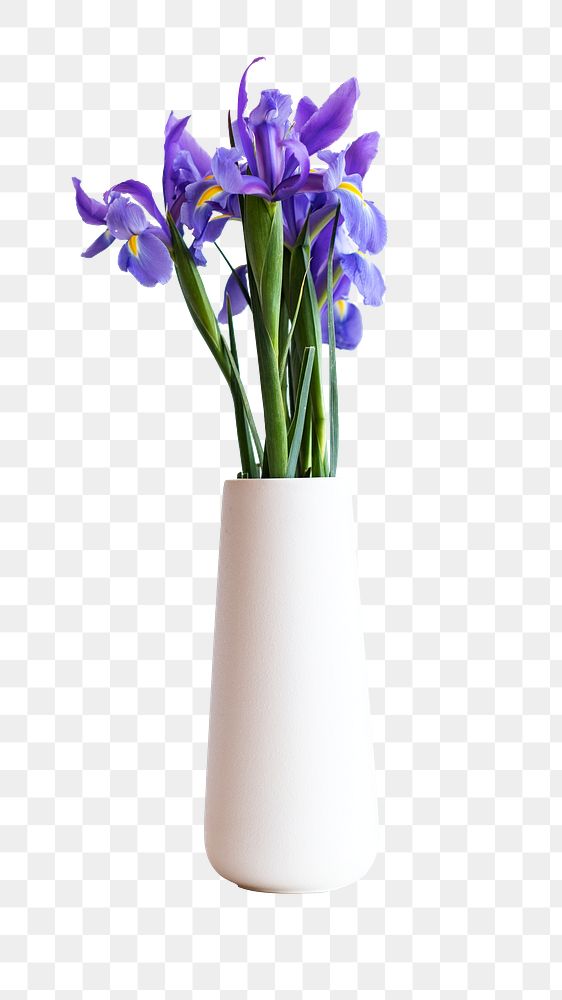 Png purple flower in vase sticker isolated image, transparent background