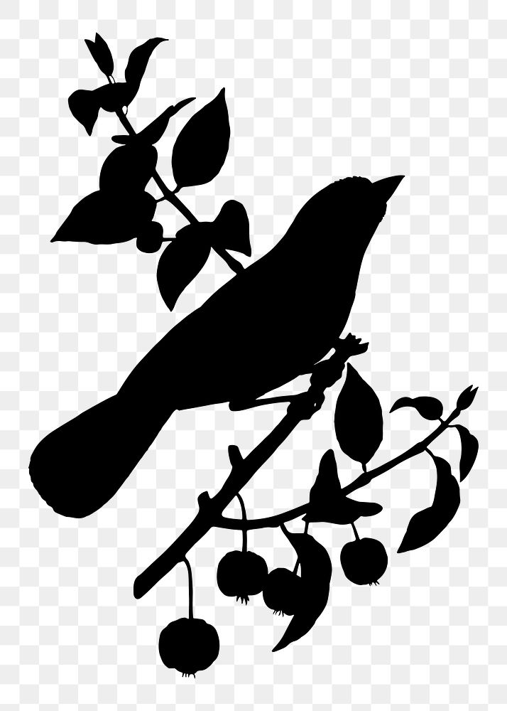 Bird on branch png sticker, silhouette transparent background