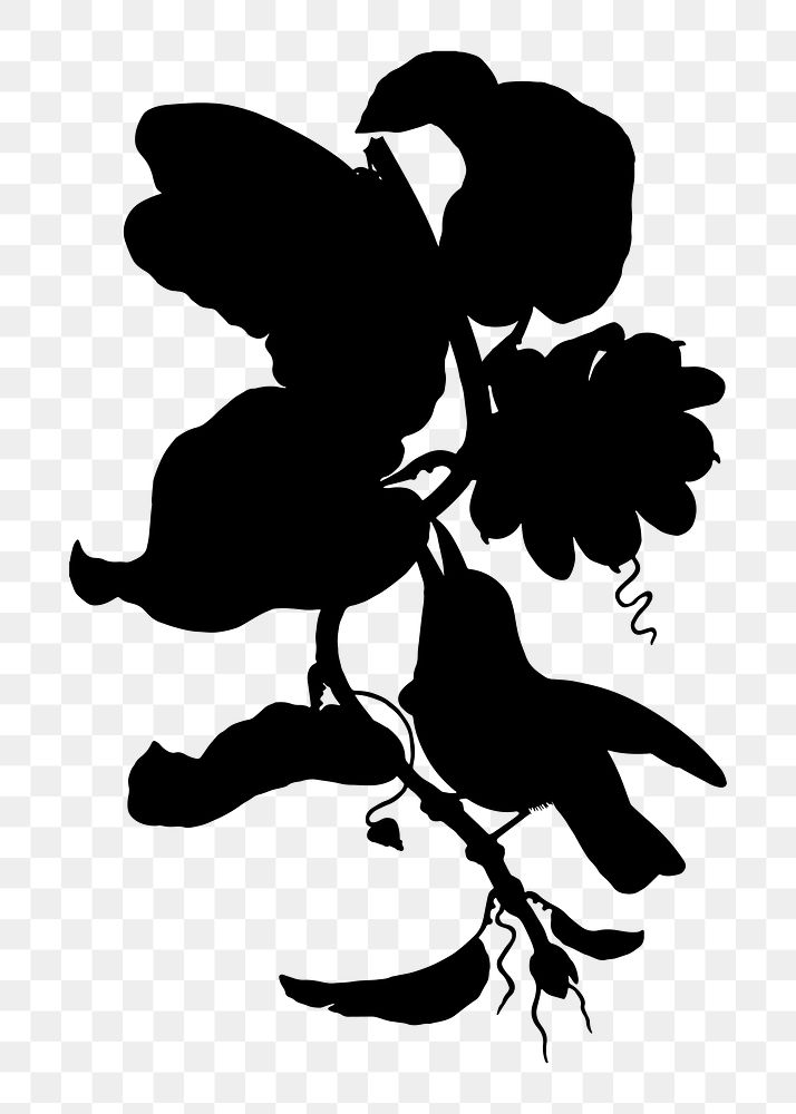 Bird & flowers png sticker, silhouette transparent background