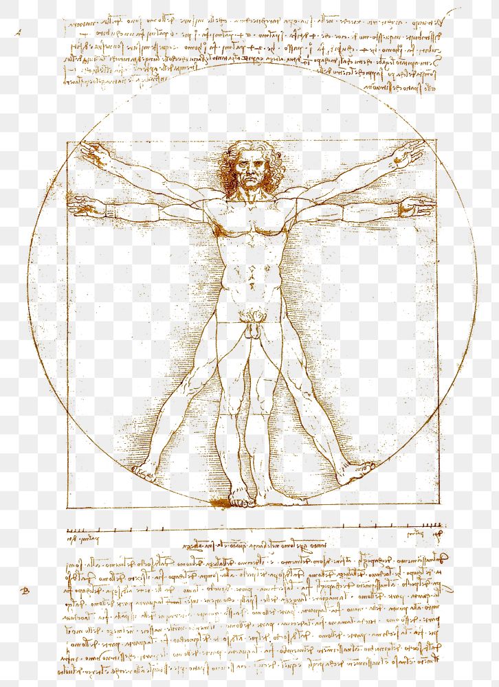Leonardo da Vinci's png Vitruvian Man sticker on transparent background. Remastered by rawpixel.