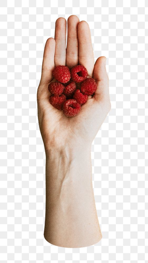 Fresh raspberries png fruit sticker, transparent background