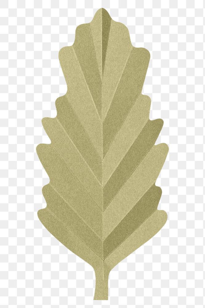 PNG green oak leaf , paper craft element, transparent background