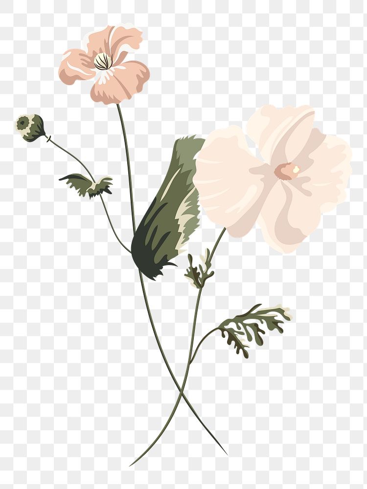 Beige flower aesthetic png, transparent background