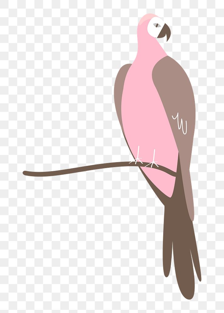 Pink parrot png pastel illustration, transparent background