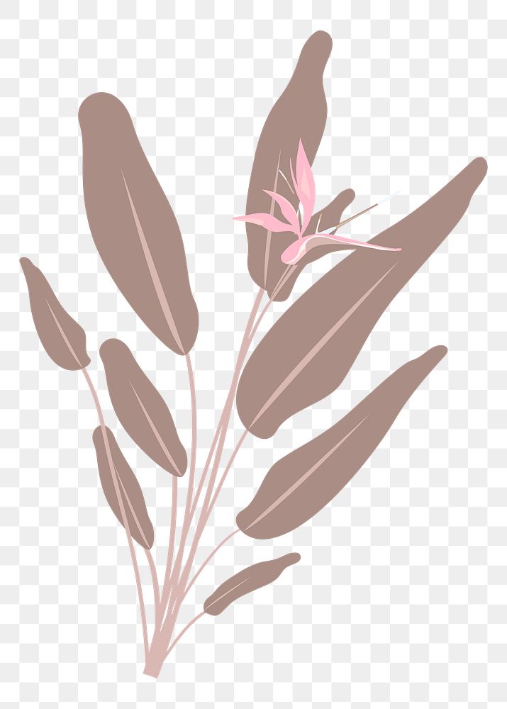 Tropical leaf png pastel illustration, transparent background