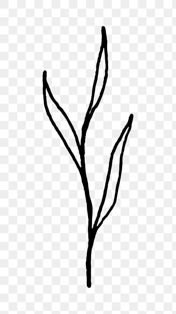 Leaf line art png black doodle, transparent background