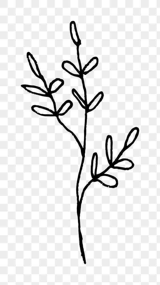 Branch line art png black doodle, transparent background