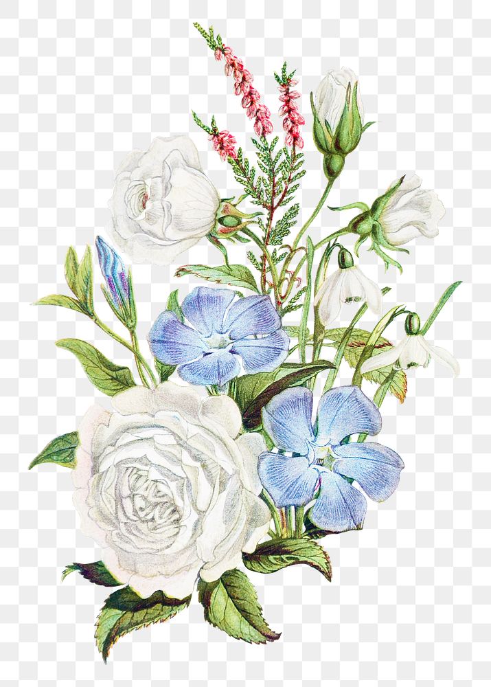 PNG vintage flower bouquet, transparent background