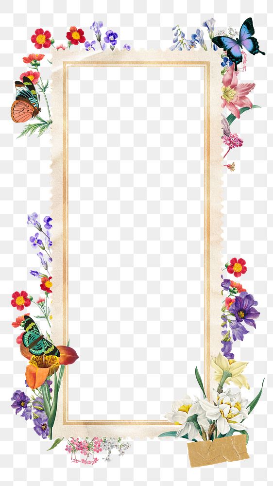 Spring flowers png frame, colorful botanical, transparent background