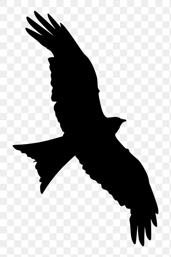 Bird silhouette png clipart illustration, transparent background. Free public domain CC0 image.