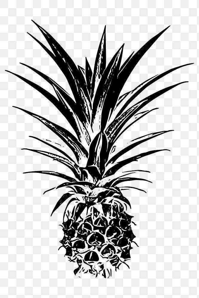 Pineapple fruit png clipart, transparent background. Free public domain CC0 image.