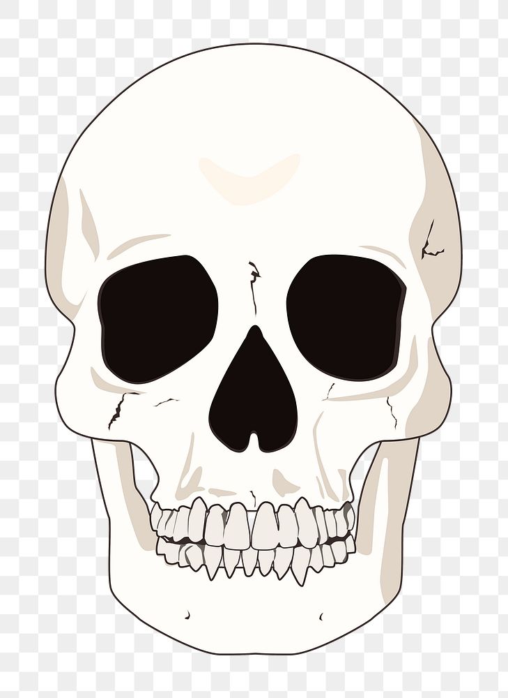 Png human skull clipart, transparent background. Free public domain CC0 image.