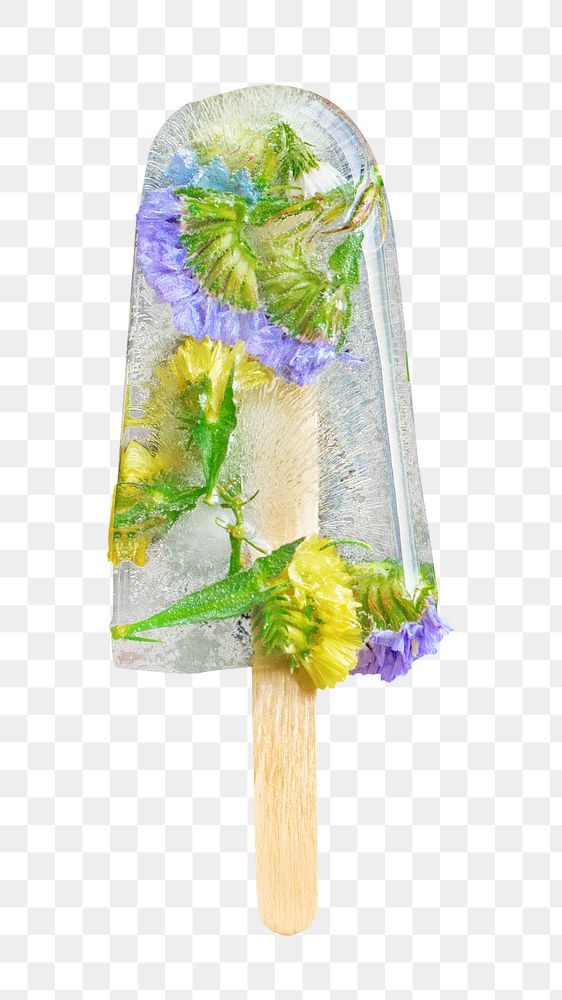 Floral png ice pop, transparent background