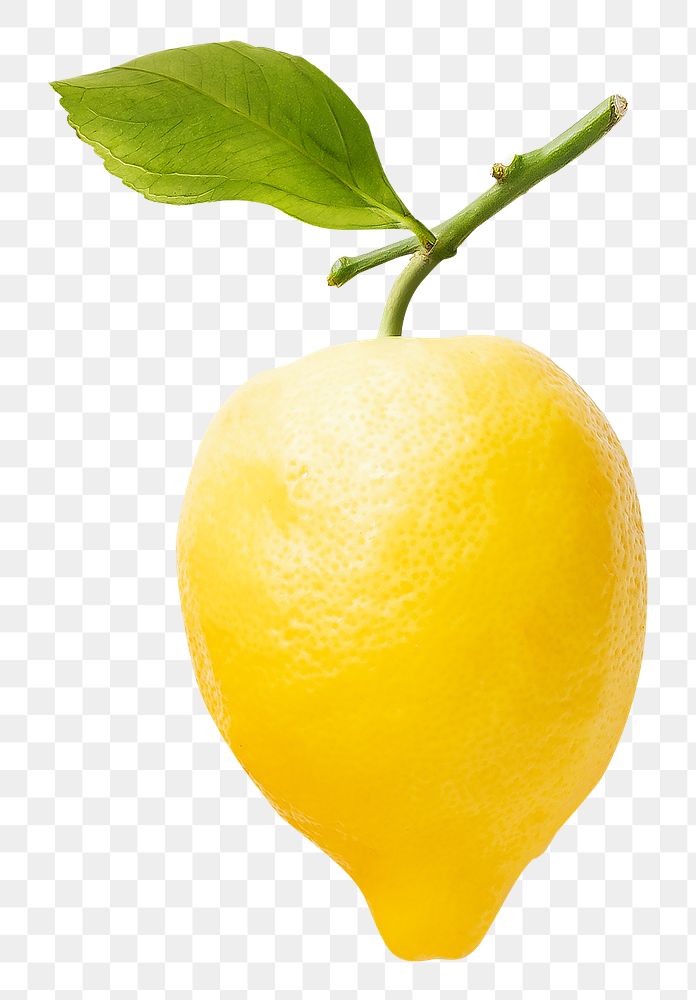 Lemon png collage element on transparent background