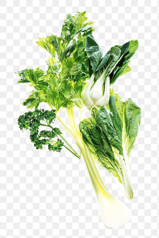 Green vegetable png collage element on transparent background