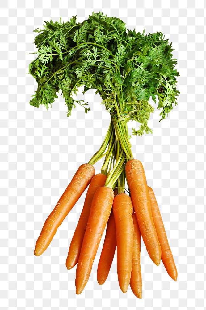 Carrots png collage element, transparent background