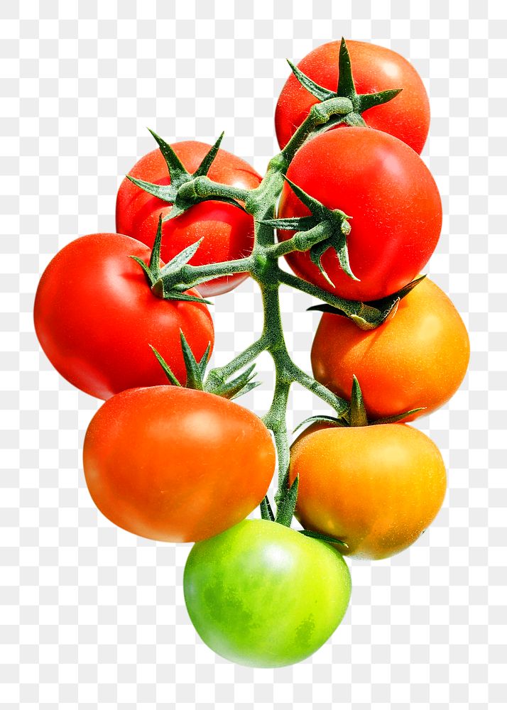 Png tomato, transparent background