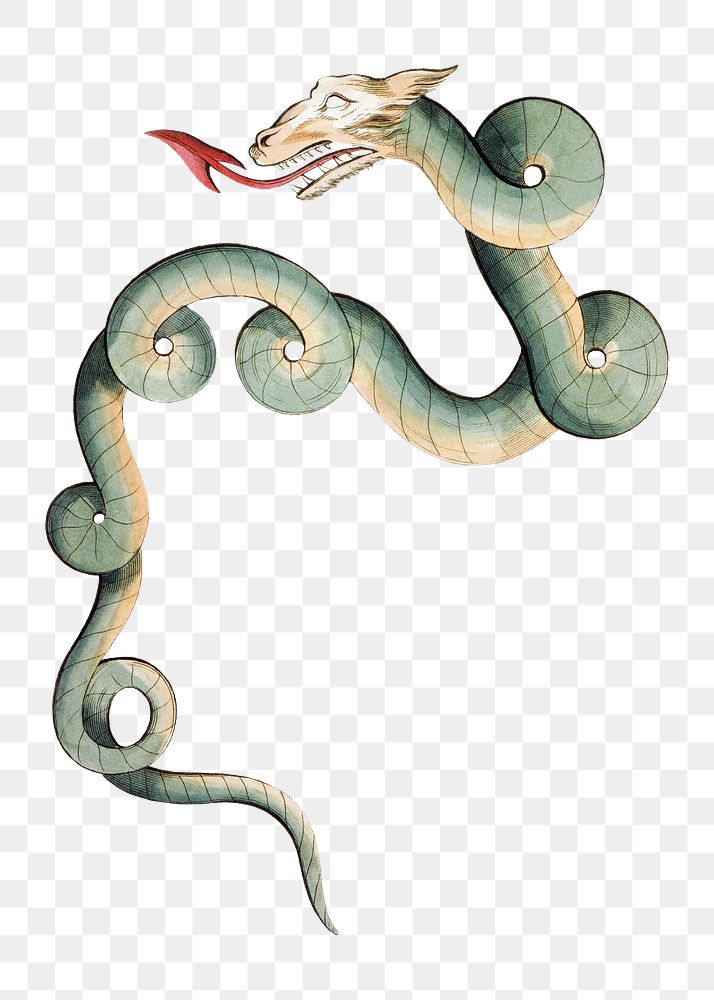 PNG Mythological snake, Draco constellation illustration transparent background. Remixed by rawpixel.