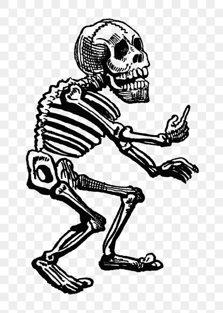 PNG Skeleton Halloween transparent background. Remixed by rawpixel.