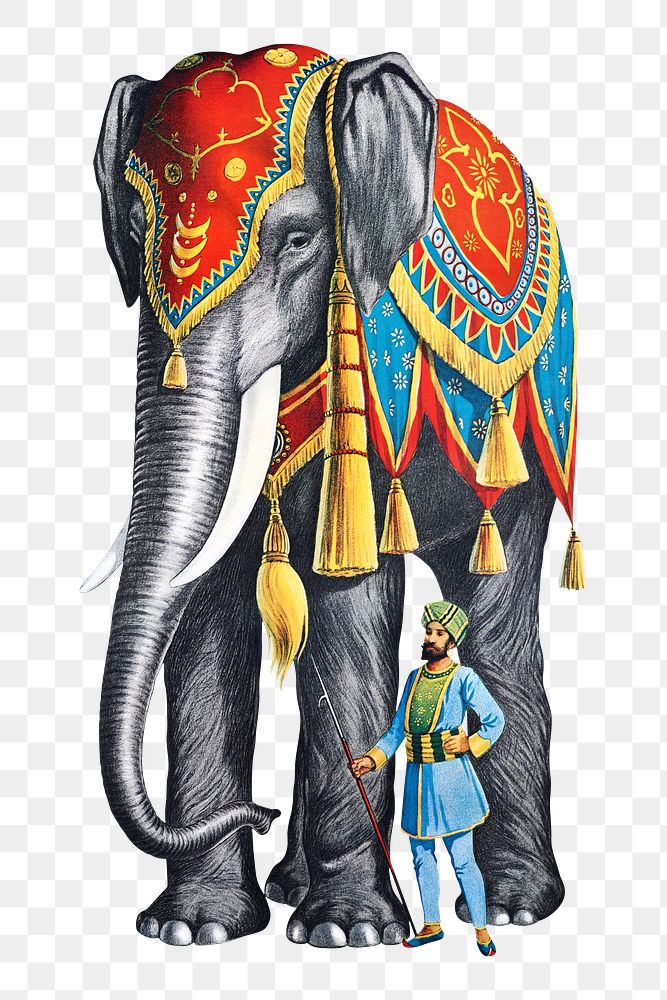 PNG Vintage circus elephant, animal illustration, transparent background.  Remixed by rawpixel. 