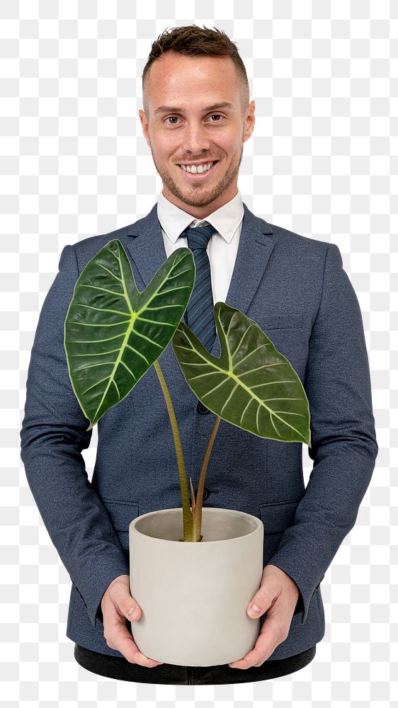 Businessman holding houseplant png, transparent background