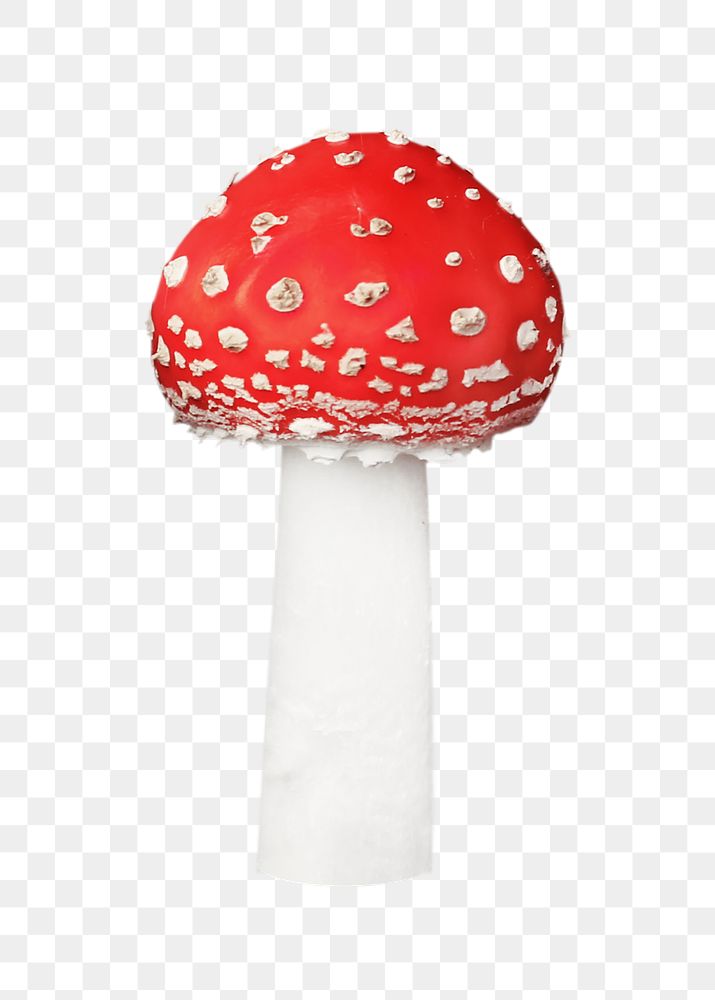 Fly agaric mushroom png, transparent background