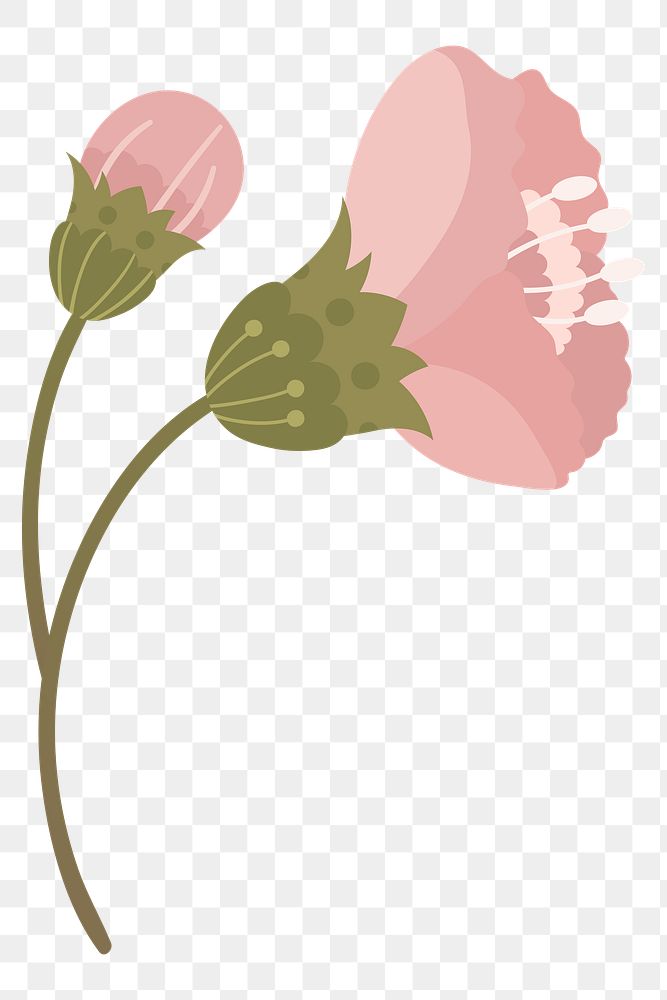 Pink flower png illustration, transparent background