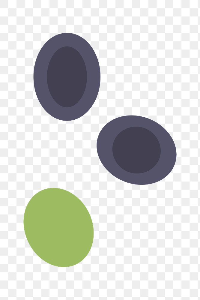 PNG black & green olives, toppings transparent background