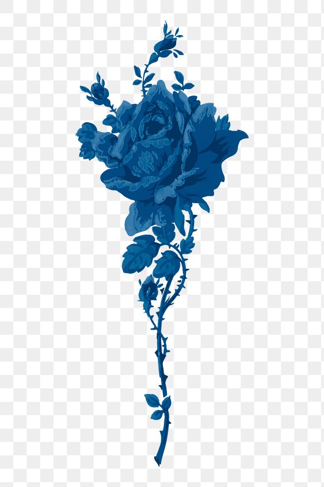 Blue vintage png rose painting, transparent background