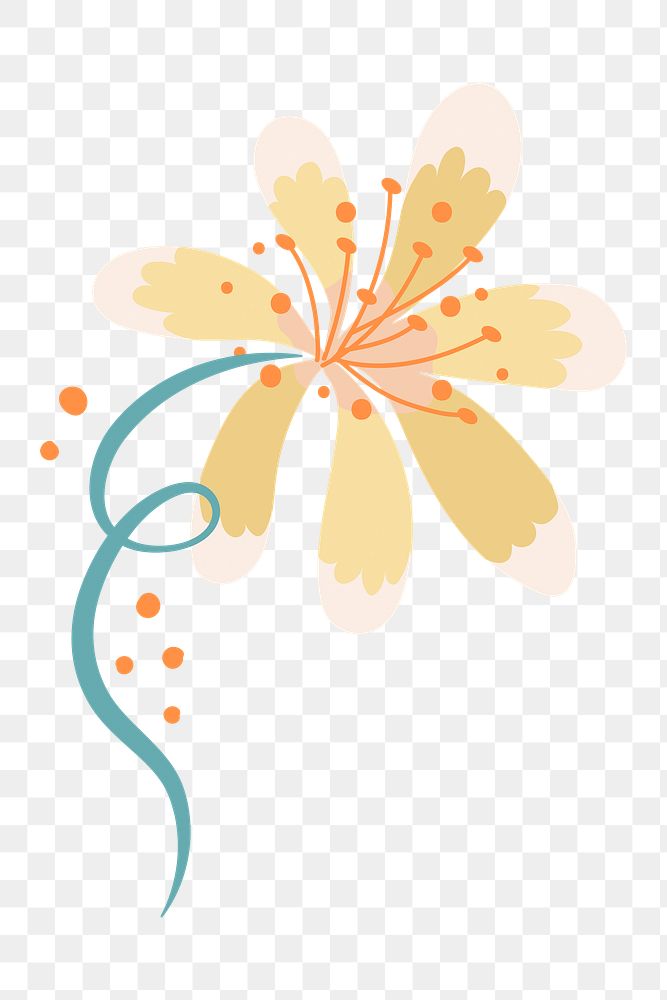 Flower illustration transparent png background