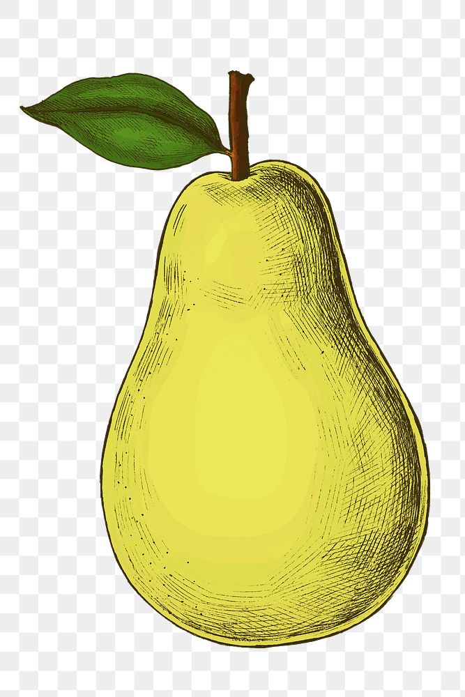 Png pear illustration collage element, transparent background
